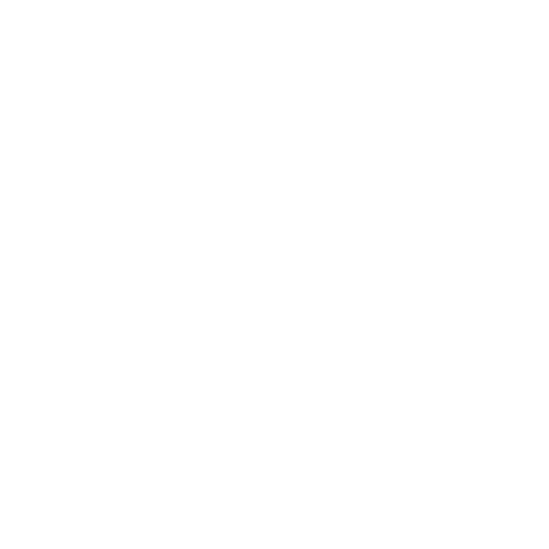 Wildstylez